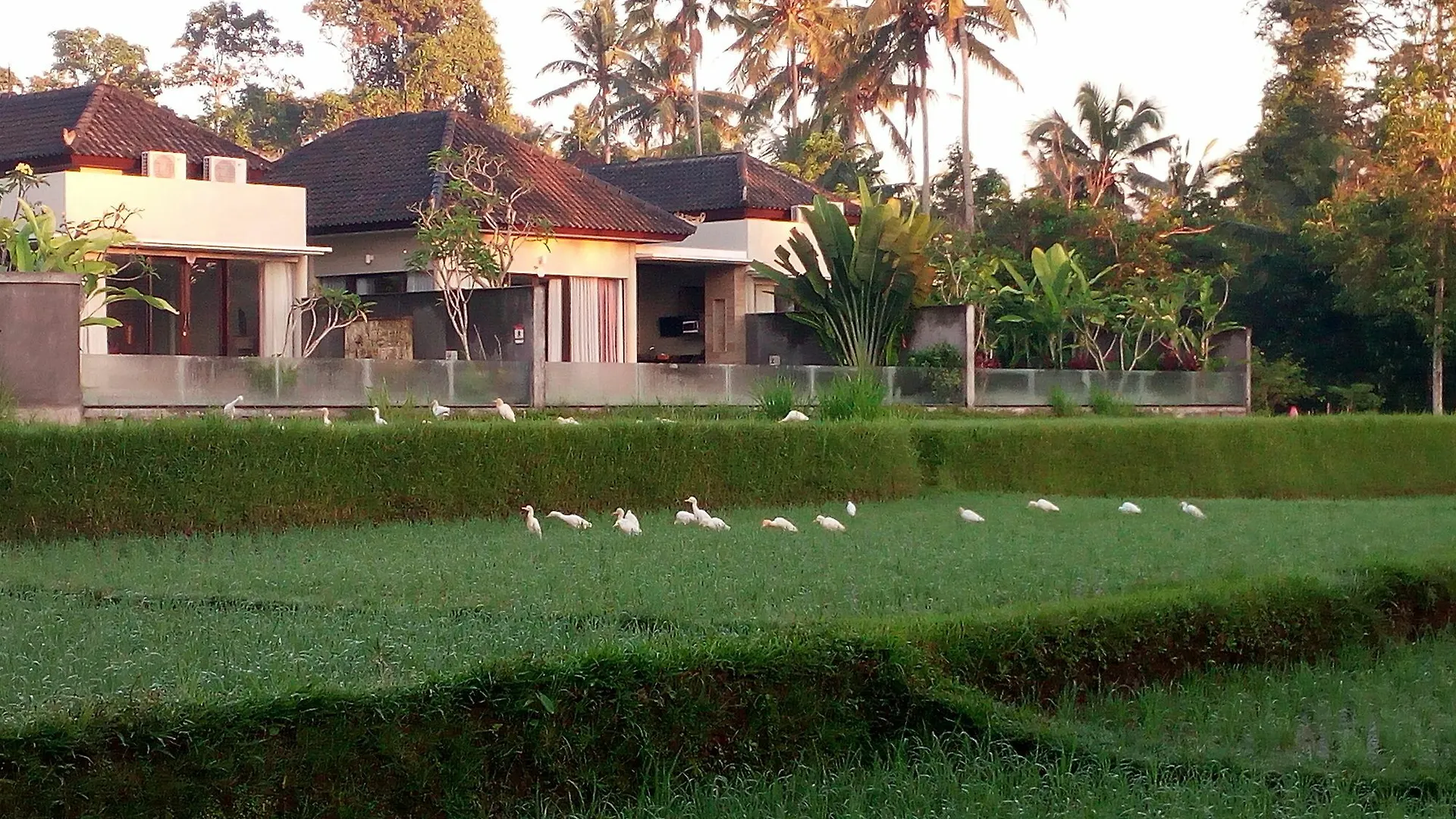 Canikaya Villas Ubud